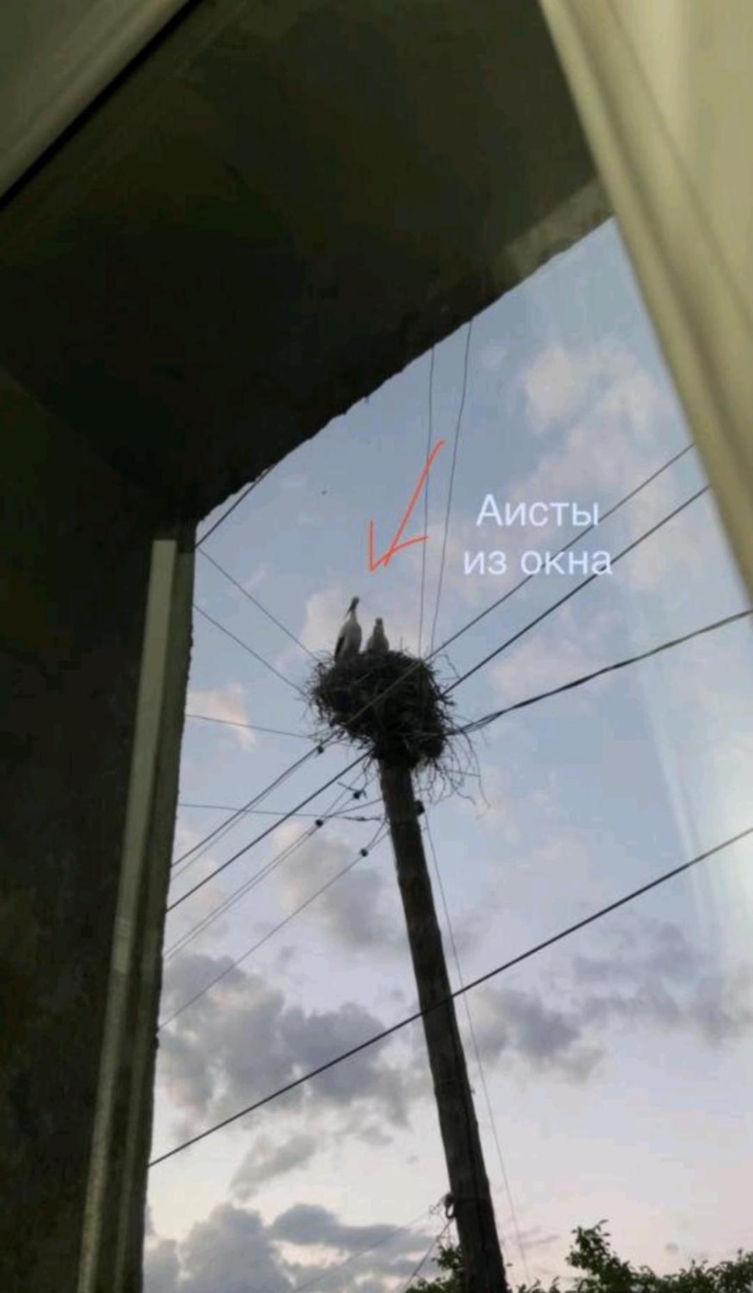 Hotel Liviti Areni Exteriér fotografie